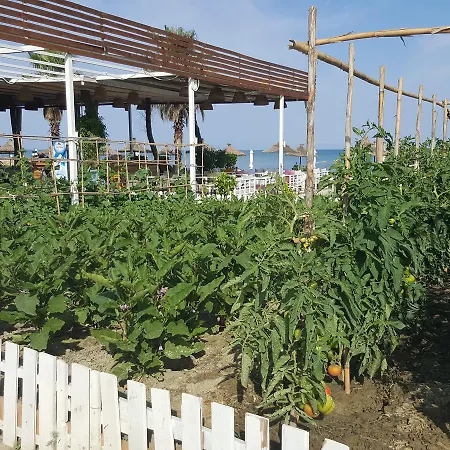 Umami منتجع