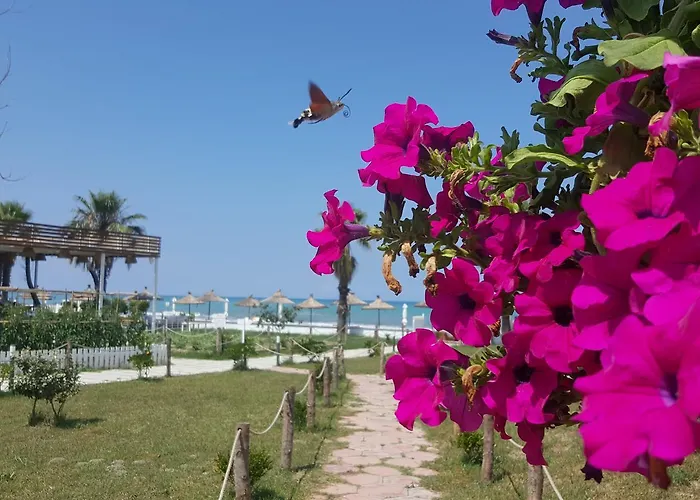 Umami Θέρετρο