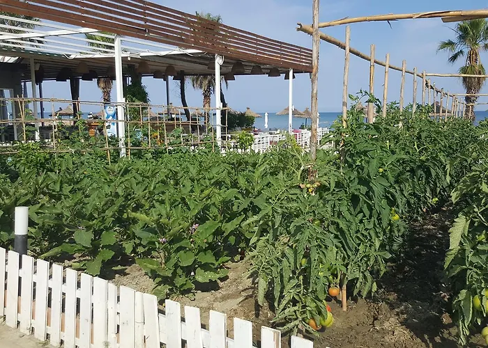 Umami Θέρετρο